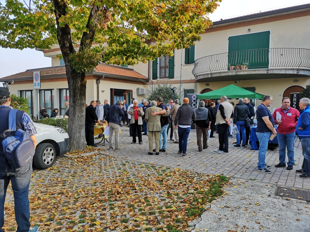 IMG_20181014_092259 .jpg